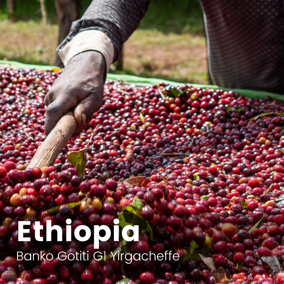 Drink of the Week: Onyx Coffee Lab Ethiopia Banko Gotiti - Imbibe