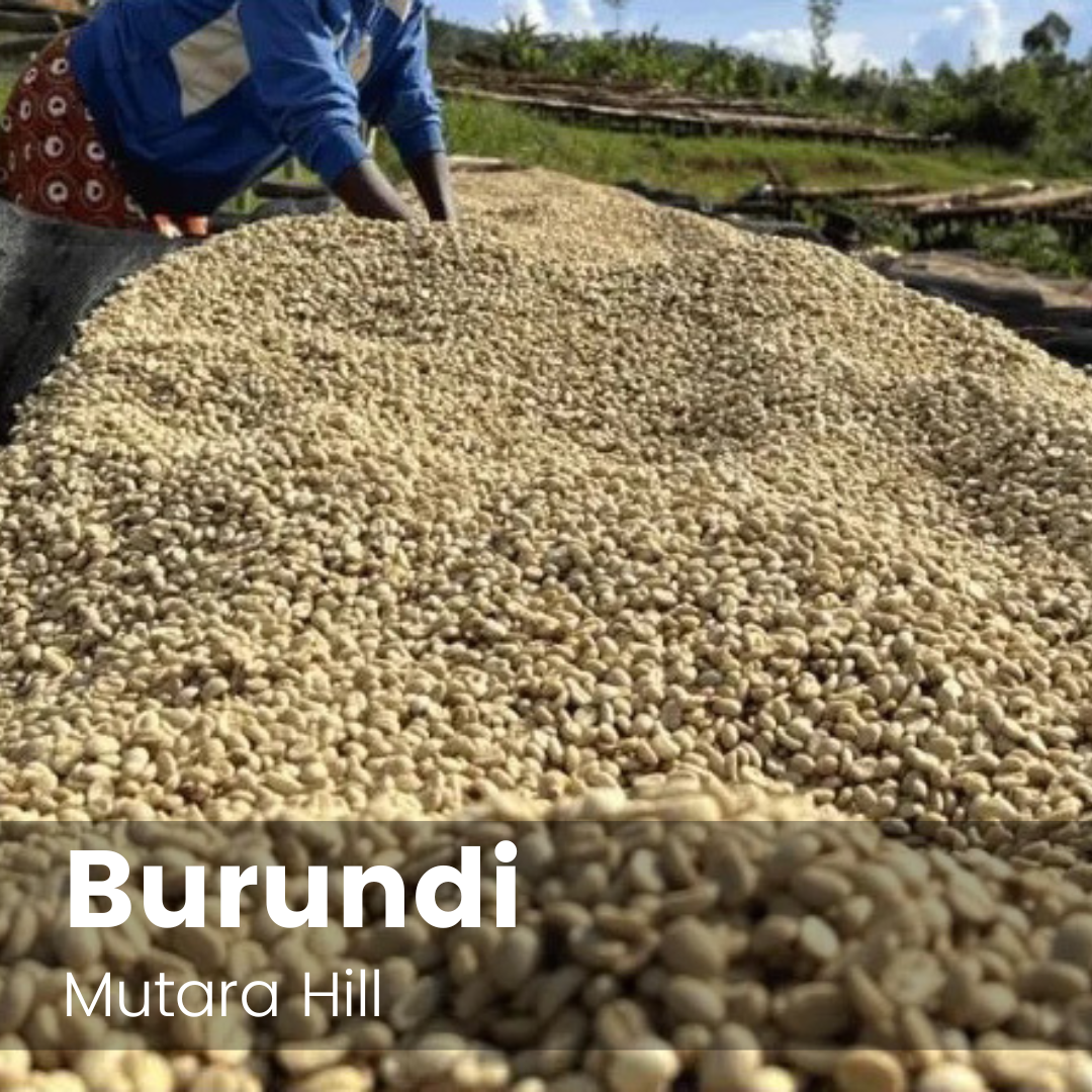 Mutara Hill, Burundi