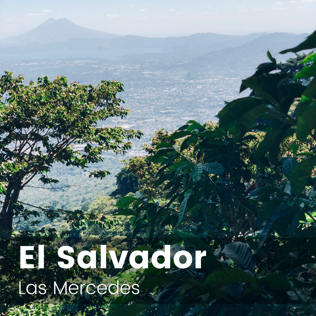 Las Mercedes, El Salvador