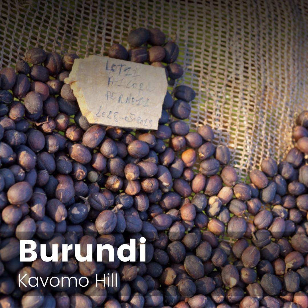 Kavomo Hill, Burundi
